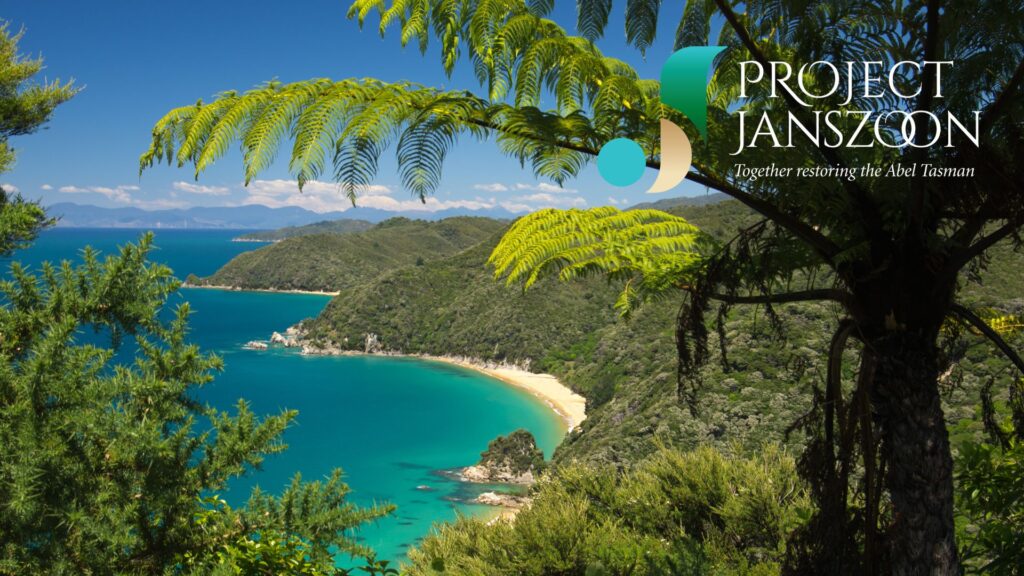 beach with sand and trees