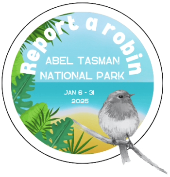 Report a Robin in the Abel Tasman National Park